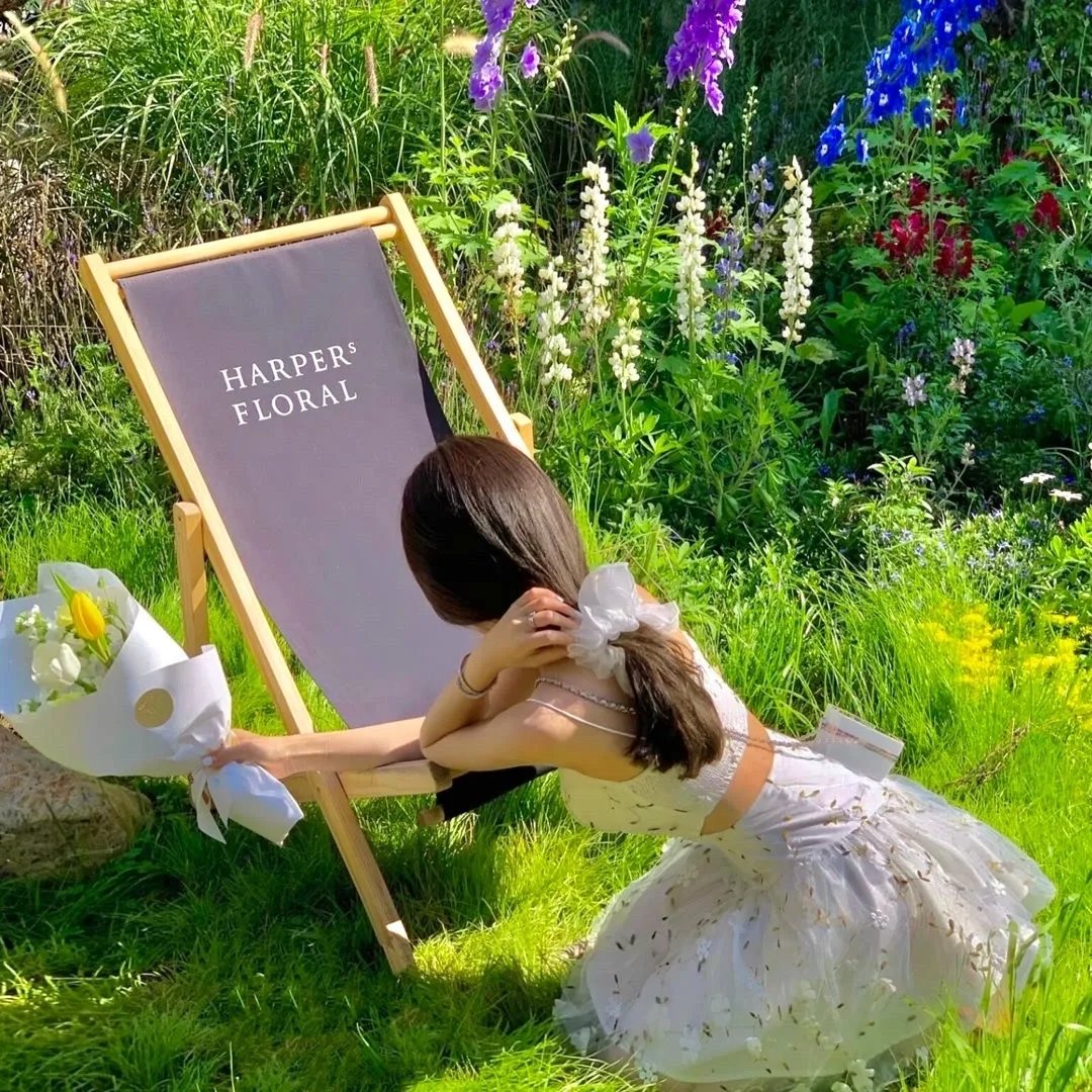 顾总你的玉佩掉了医女老婆有点甜